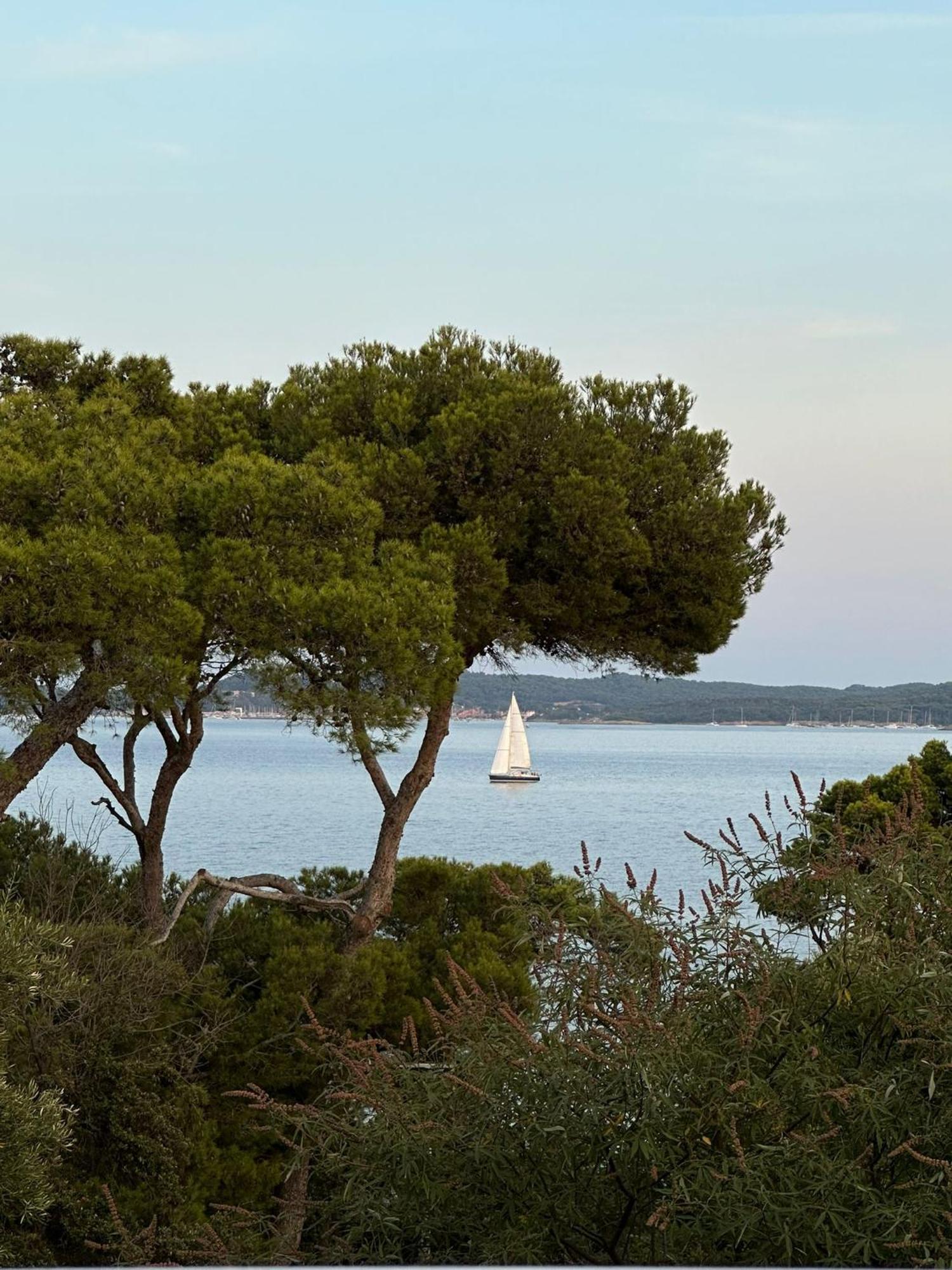 L'Instant Plage - Vue Mer - Bord De Plage - La Capte - Cote D'Azur Hyères Exteriér fotografie