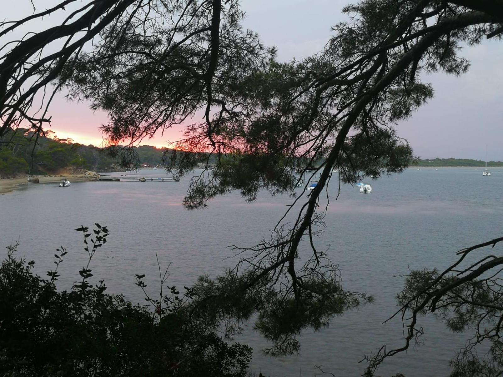 L'Instant Plage - Vue Mer - Bord De Plage - La Capte - Cote D'Azur Hyères Exteriér fotografie